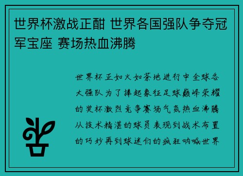 世界杯激战正酣 世界各国强队争夺冠军宝座 赛场热血沸腾